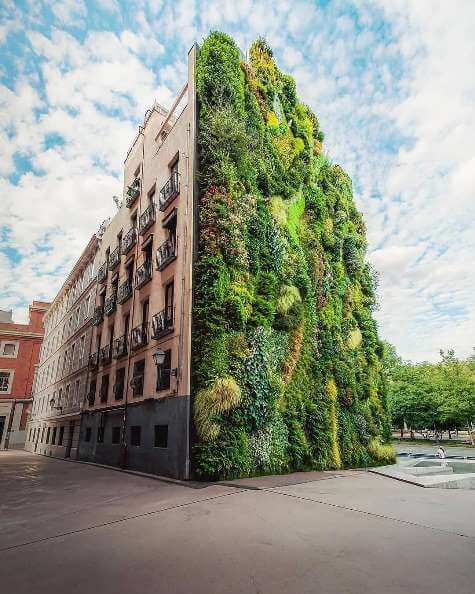 Muros verdes en el paisaje de la CDMX