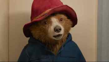 Checa el divertido y épico tráiler oficial de 'Paddington in Peru'