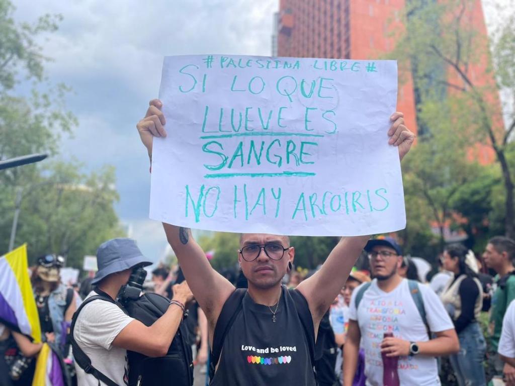 Manifestante a favor de la comunidad LGBT pero también en contra de los genocidios en Palestina.