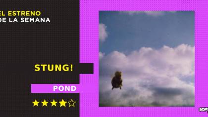 pond-stung-resena-disco