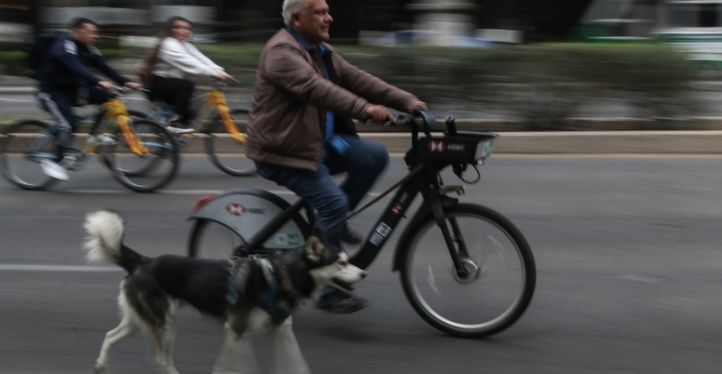 Gran Rodada CDMX: Pedalea en bici, recorre museos y gánate un viaje a Ámsterdam