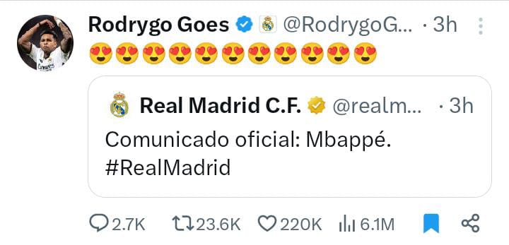 Rodrigo Goes 