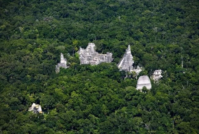 Descubren más de 900 asentamientos mayas en la selva