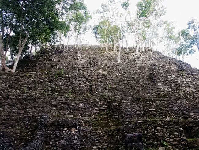 Descubren más de 900 asentamientos mayas en la selva