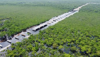 Acusan que la construcción del Tren Maya provocó inundaciones en Bacalar y otras zonas de Quintana Roo.