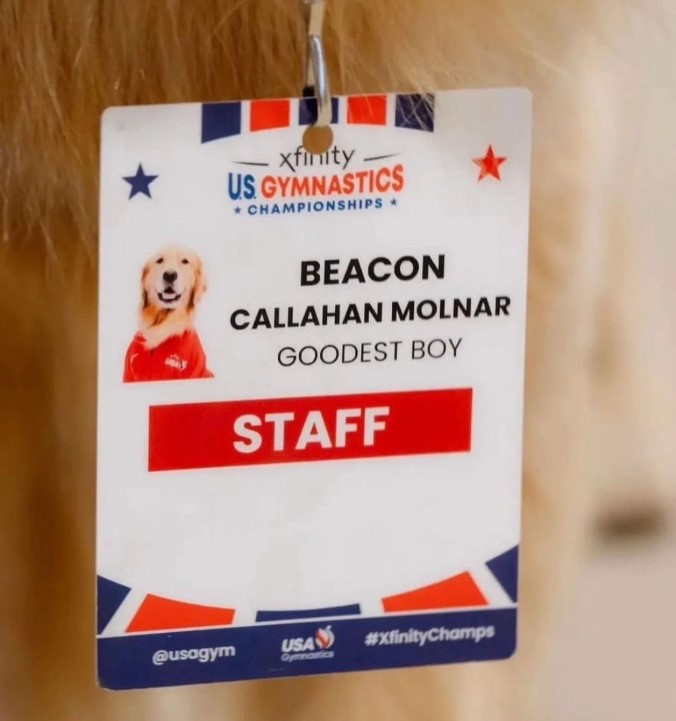 Beacon con su gafete que lo acredita como miembro del staff de gimnasia de Estados Unidos