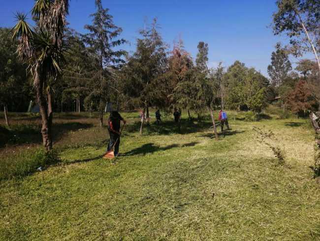 ¿Sin plan en el verano? Vamos al Bosque de Nativitas