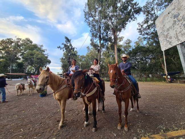 ¿Sin plan en el verano? Vamos al Bosque de Nativitas