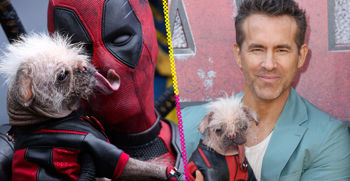 Peggy: La historia de la perrita "más fea del Reino Unido" que Ryan Reynolds quiso adoptar tras 'Deadpool & Wolverine'