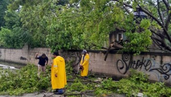 huracan-beryl-tormenta-tropical-saldo-blanco-gran-noticia-yucatan-quintana-roo