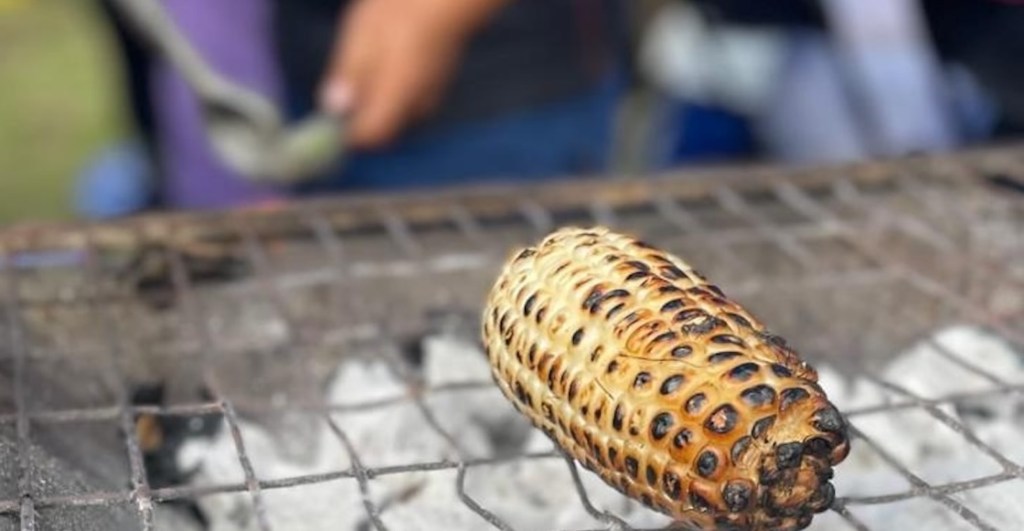 Mapatón de elotes y esquites en México