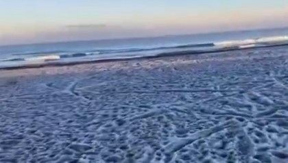 Mariscadero: Así se ve la playa congelada por la Ola de Frío en Chile