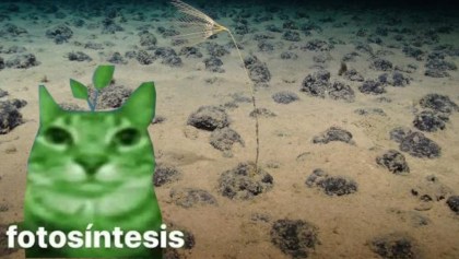 Los nódulos que producen oxígeno en el fondo del mar