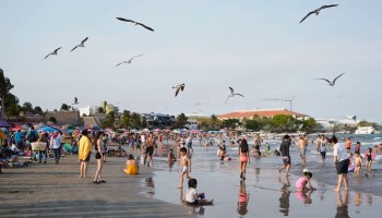 Las playas más contaminadas en estas vacaciones de verano 2024 en México