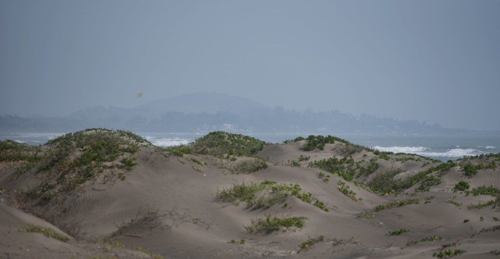 Las playas más contaminadas en estas vacaciones de verano 2024 en México