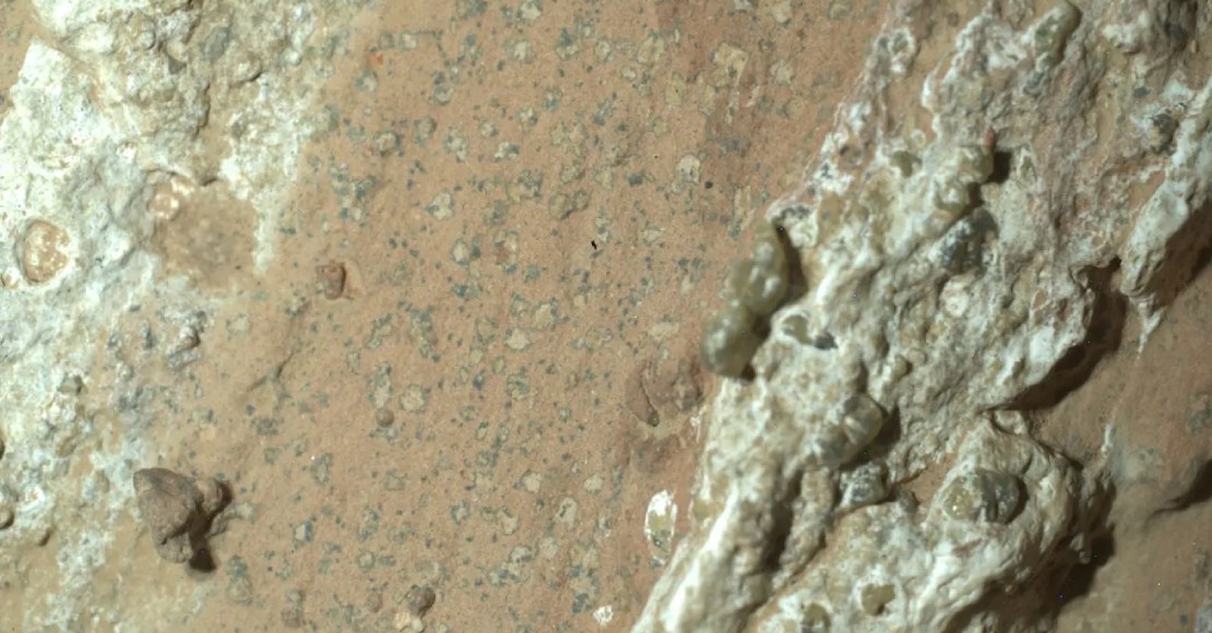 Descubren una roca en Marte con posibles señales de vida