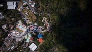 Six Flags México planea nueva atracción y contempla la tala de árboles.