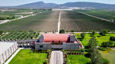 ¿Sin plan para el verano? 48 horas en los viñedos de Querétaro