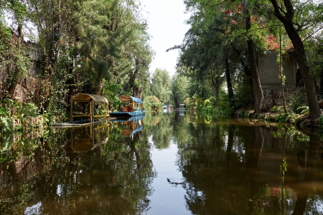 Así se veía Xochimilco hace un siglo