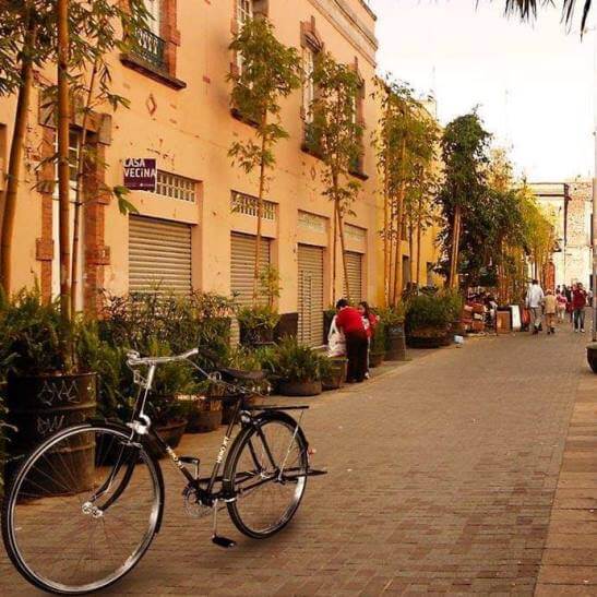 Pequeña guía de las calles peatonales en CDMX