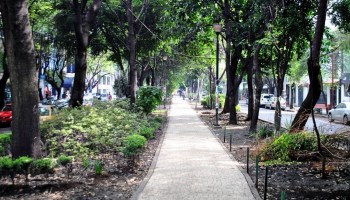 Pequeña guía de las calles peatonales en CDMX