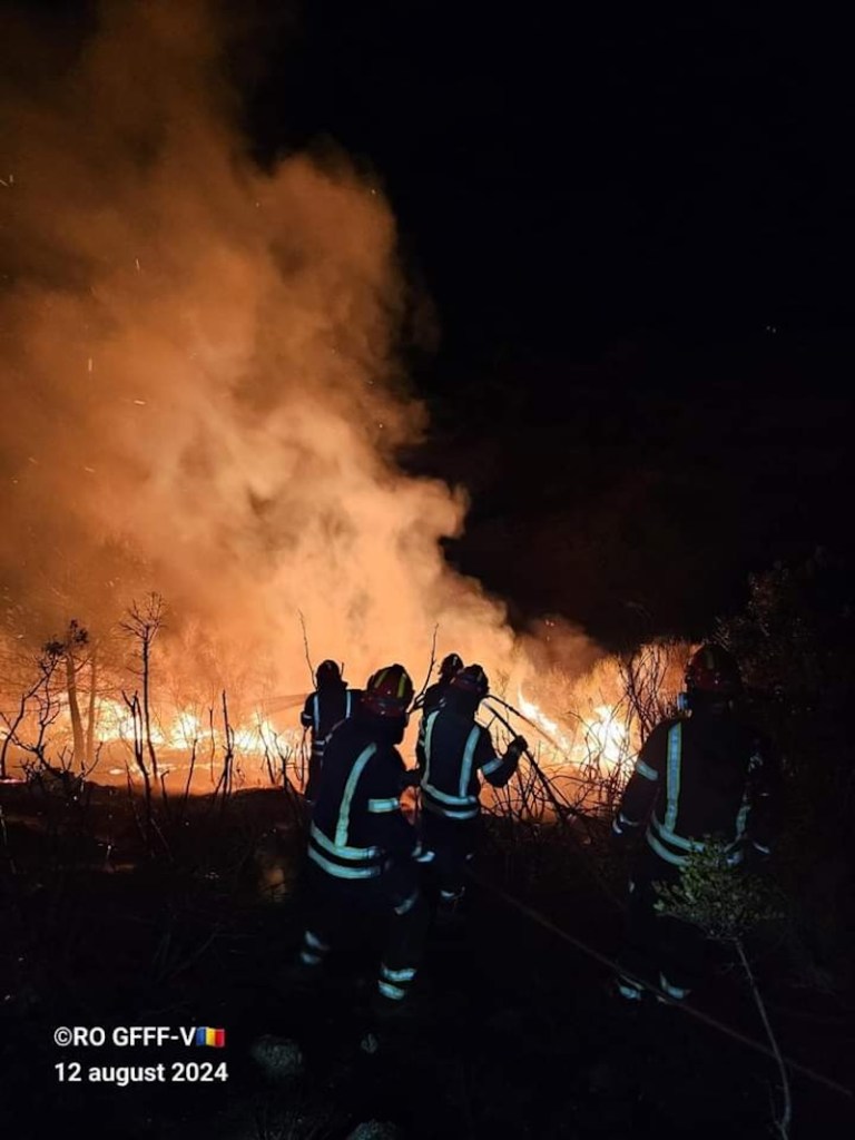 Incendios en Grecia: Atenas atrapada por incendio forestal que ha arrasado más de 10 mil hectáreas