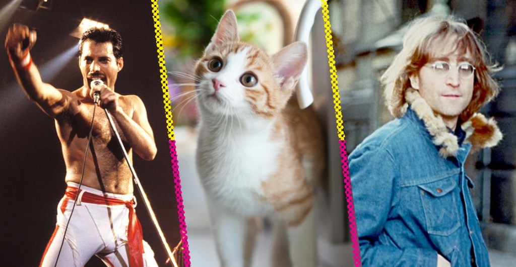 Miau así es: 5 gatos famosos por sus dueños