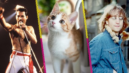 Miau así es: 5 gatos famosos por sus dueños