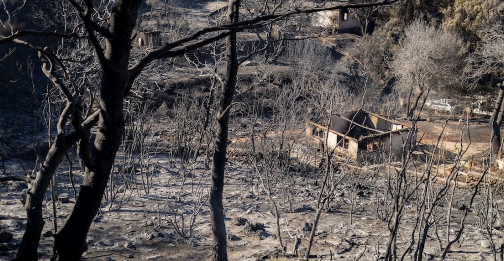 Incendios en Grecia: Atenas atrapada por incendio forestal que ha arrasado más de 10 mil hectáreas