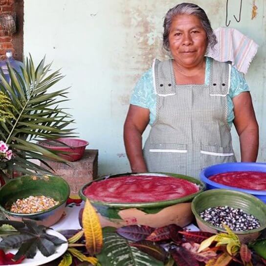 Declararon al nicuatole patrimonio cultural inmaterial de Oaxaca