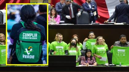 ¡Sorpresa! El Partido Verde es la segunda fuerza en la Cámara de Diputados