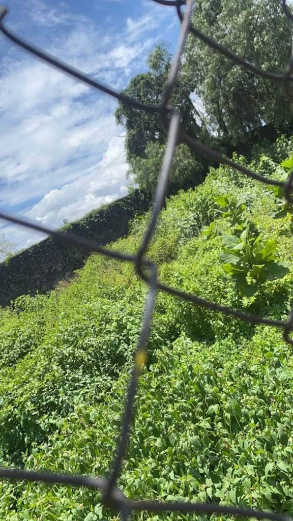 Área verde en uno de los predios donde se planea construir la plaza.