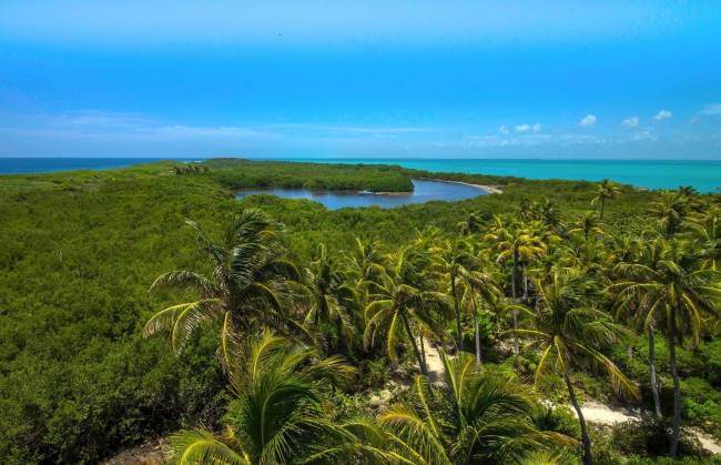 Un recorrido (raro) por las islas de México