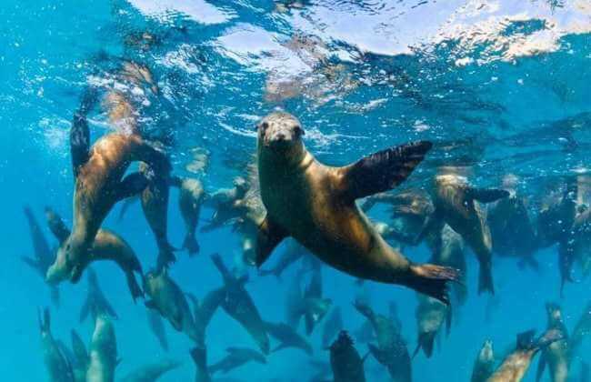 Un recorrido (raro) por las islas de México