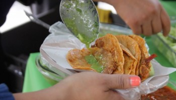 Como está eso de que Tlaxcala quiere romper el récord Guinness de tacos de canasta en CDMX