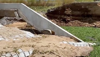 Colapso en estructura del Parque Ecológico Lago de Texcoco / Captura de pantalla