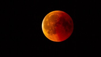 Eclipse lunar 2024: Fecha y hora para verlo en México