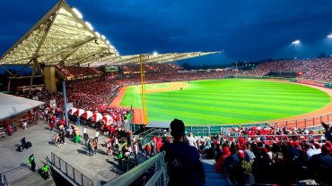 Estadio Alfredo Harp Helú