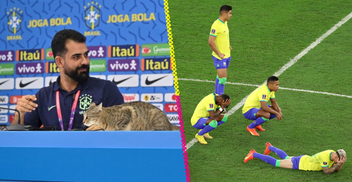 La maldición del gato ataca a Brasil desde Qatar 2022 hasta eliminatorias 2026