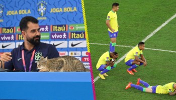 La maldición del gato ataca a Brasil desde Qatar 2022 hasta eliminatorias 2026