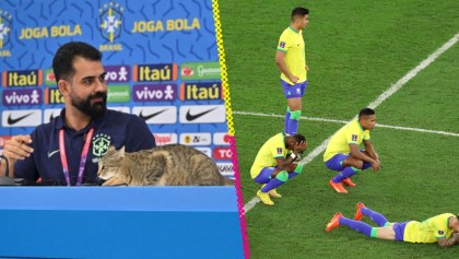 La maldición del gato ataca a Brasil desde Qatar 2022 hasta eliminatorias 2026