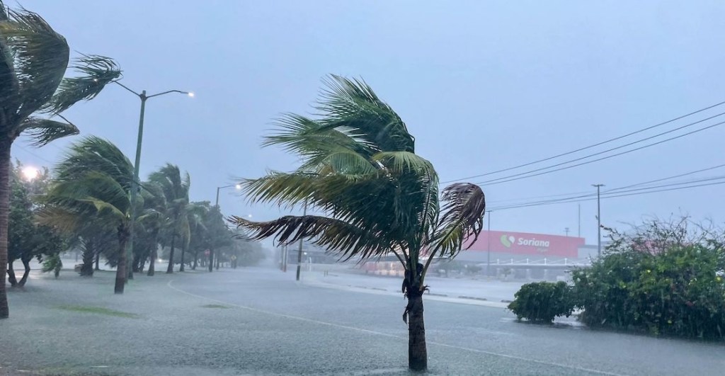 Lluvias intensas y bajas temperaturas: John, Helene y el Frente Frío 3