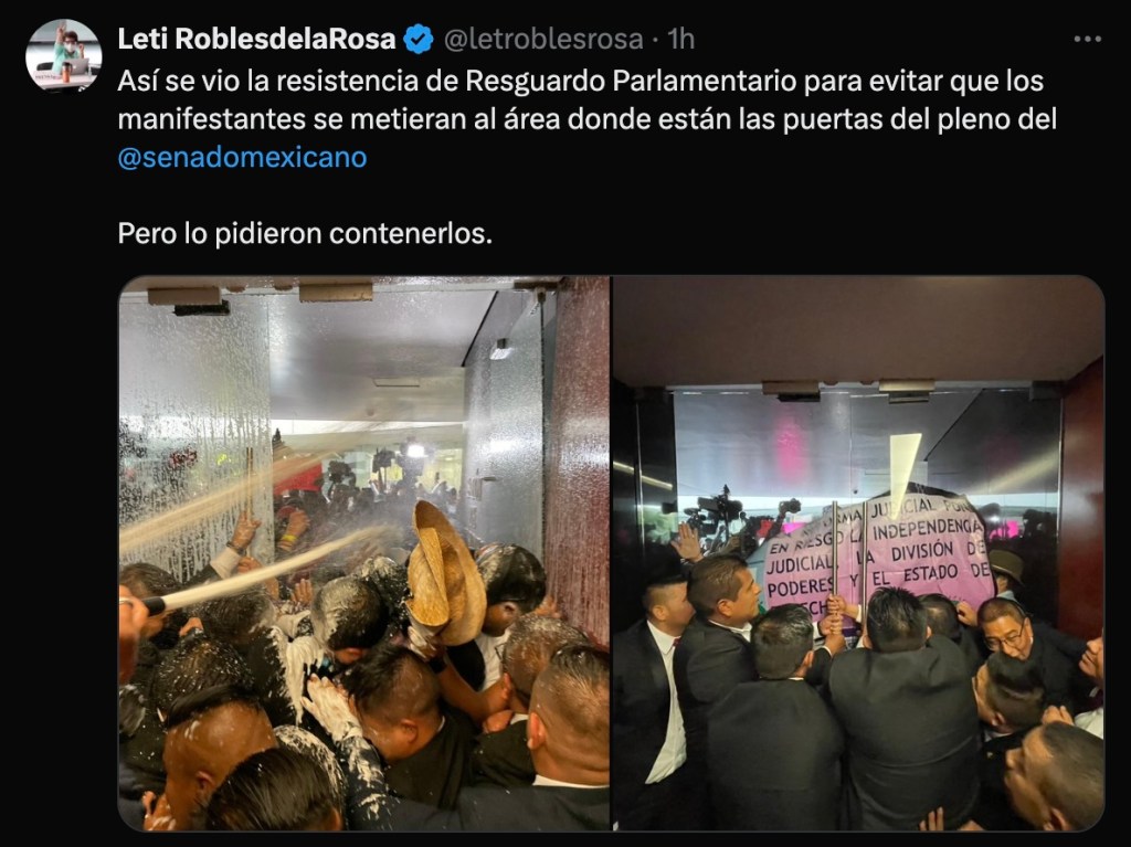 imagenes-ineditas-historias-manifestantes-toman-senado-reforma-judicial-3