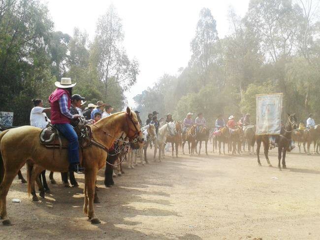 Lugares para ver las hojas caer en la CDMX