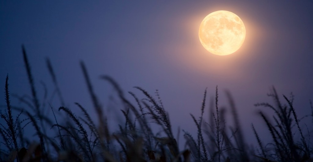 Fecha y hora para ver la superluna y el último eclipse lunar de 2024 en México