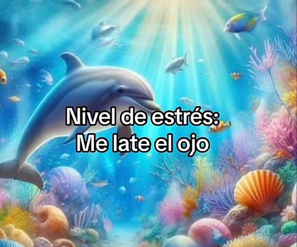 Trend ‘Symphony’: Así puedes hacer los memes de delfines que inundan ...