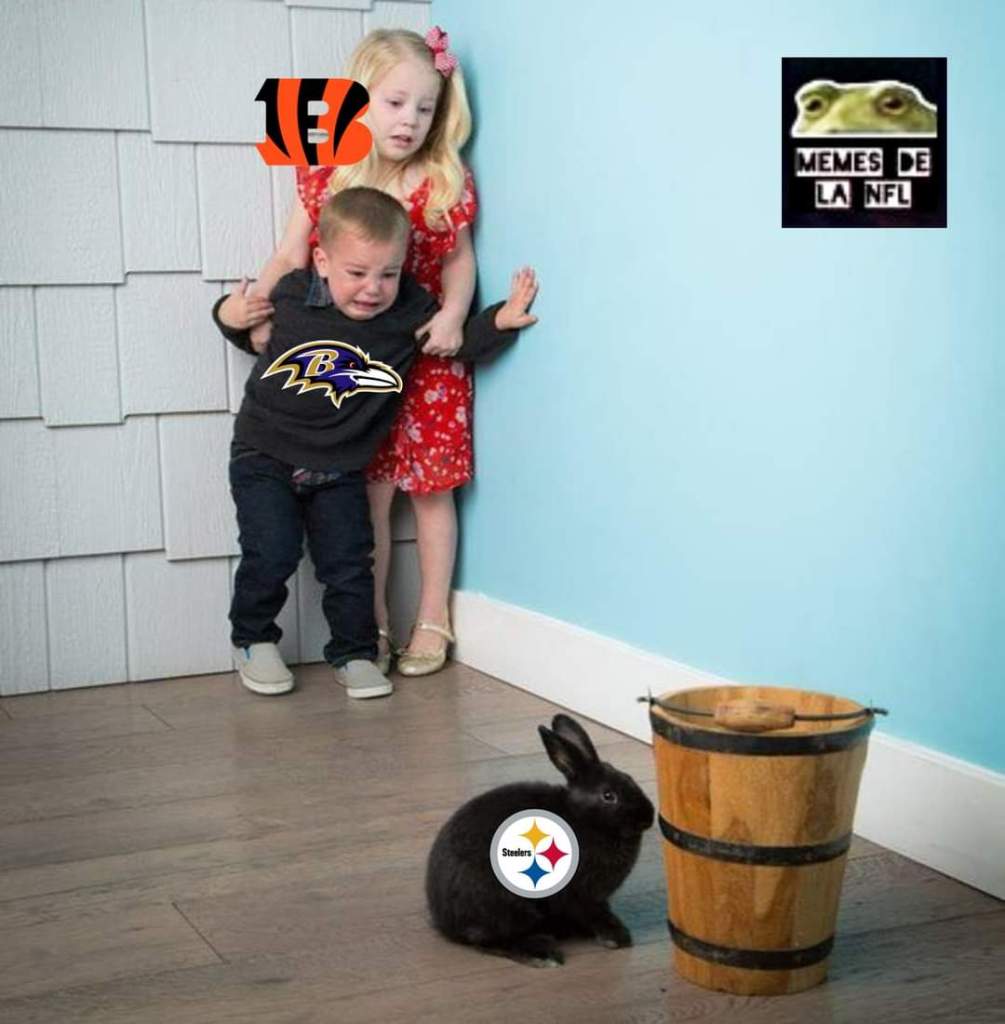 semana 3 memes nfl