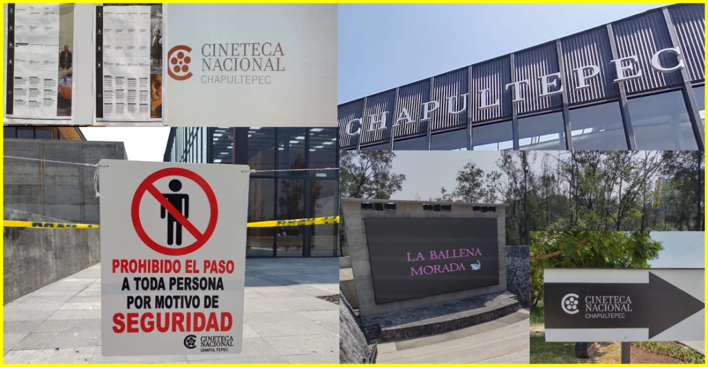 Lo bueno y lo malo de la Cineteca Nacional Chapultepec.