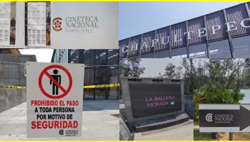 Lo bueno y lo malo de la Cineteca Nacional Chapultepec.