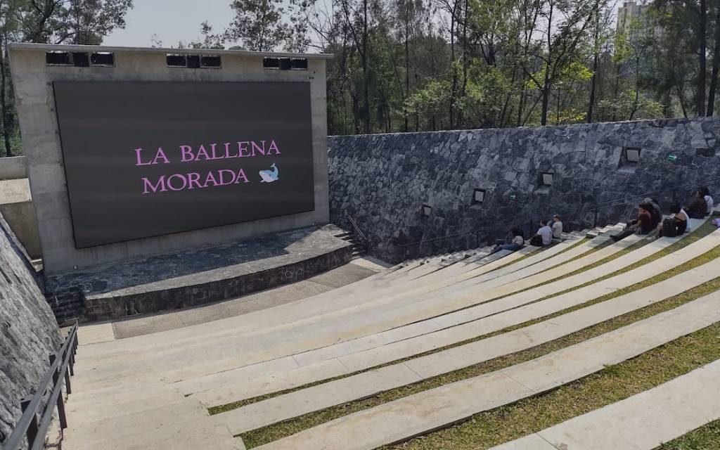 Foro al aire libre en la Cineteca Nacional Chapultepec.